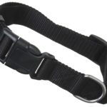 Hundehalsband »Universal« mit Klickverschluss und Längenverstellung; diverse Farben und Größen; robustes Nylon von scarlet pet