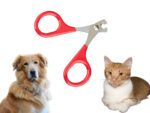 Krallenschere »Basic« aus rostfreiem Edelstahl; für Haustiere wie Katzen, Hunde, Kaninchen, Meerschweinchen; leichtgängig und robust von scarlet pet – Bild 5