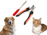 Krallenpflege-Set »Petty« aus Krallenschere mit Schutzvorrichtung und Nagelfeile; aus rostfreiem Edelstahl; für Haustiere wie Katzen, Hunde, Kaninchen von scarlet pet – Bild 4
