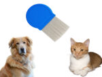 Nissenkamm »Blue« gegen Flöhe, Läuse und anderes Ungeziefer; Profi-Fellkamm für Hund und Katze; auch für Erwachsene und Kinder geeignet von scarlet pet – Bild 5