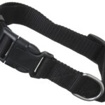 Hundehalsband »Universal« mit Klickverschluss und Längenverstellung; diverse Farben und Größen; robustes Nylon von scarlet pet