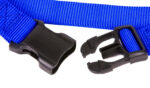 Hundehalsband »Universal« mit Klickverschluss und Längenverstellung; diverse Farben und Größen; robustes Nylon von scarlet pet – Bild 2