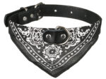 Hundehalsband »Paisley« mit Dreieckstuch/Bandana; einfach cool; diverse Farben und Größen von scarlet pet