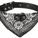 Hundehalsband »Paisley« mit Dreieckstuch/Bandana; einfach cool; diverse Farben und Größen von scarlet pet