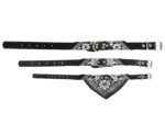 Hundehalsband »Paisley« mit Dreieckstuch/Bandana; einfach cool; diverse Farben und Größen von scarlet pet – Bild 2