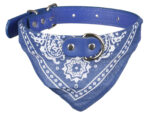 Hundehalsband »Paisley« mit Dreieckstuch/Bandana; einfach cool; diverse Farben und Größen von scarlet pet – Bild 4