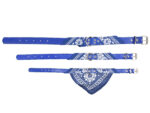 Hundehalsband »Paisley« mit Dreieckstuch/Bandana; einfach cool; diverse Farben und Größen von scarlet pet – Bild 5