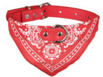 Hundehalsband »Paisley« mit Dreieckstuch/Bandana; einfach cool; diverse Farben und Größen von scarlet pet – Bild 6