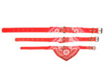 Hundehalsband »Paisley« mit Dreieckstuch/Bandana; einfach cool; diverse Farben und Größen von scarlet pet – Bild 7