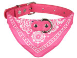 Hundehalsband »Paisley« mit Dreieckstuch/Bandana; einfach cool; diverse Farben und Größen von scarlet pet – Bild 8