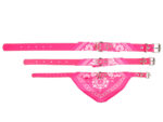 Hundehalsband »Paisley« mit Dreieckstuch/Bandana; einfach cool; diverse Farben und Größen von scarlet pet – Bild 9