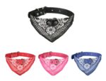 Hundehalsband »Paisley« mit Dreieckstuch/Bandana; einfach cool; diverse Farben und Größen von scarlet pet – Bild 3