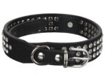 Hundehalsband »Glamour« mit modischem Besatz aus funkelndem Strass; diverse Farben und Größen von scarlet pet – Bild 2