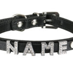 Hundehalsband »My-Name« inkl. 5 Strass-Buchstaben; mit Namen ihres Hundes personalisierbar; zusätzliche Buchstaben bestellbar von scarlet pet